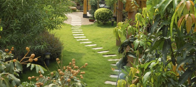 Building a Stone Path