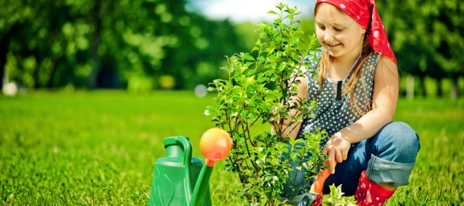 Planting a Tree
